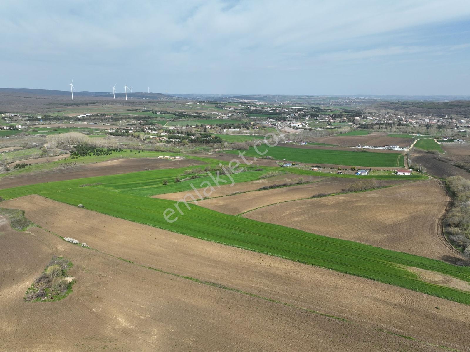 Çatalca İnceğizde Satılık 1125 Metre Çaplı Tarla - Görsel 2