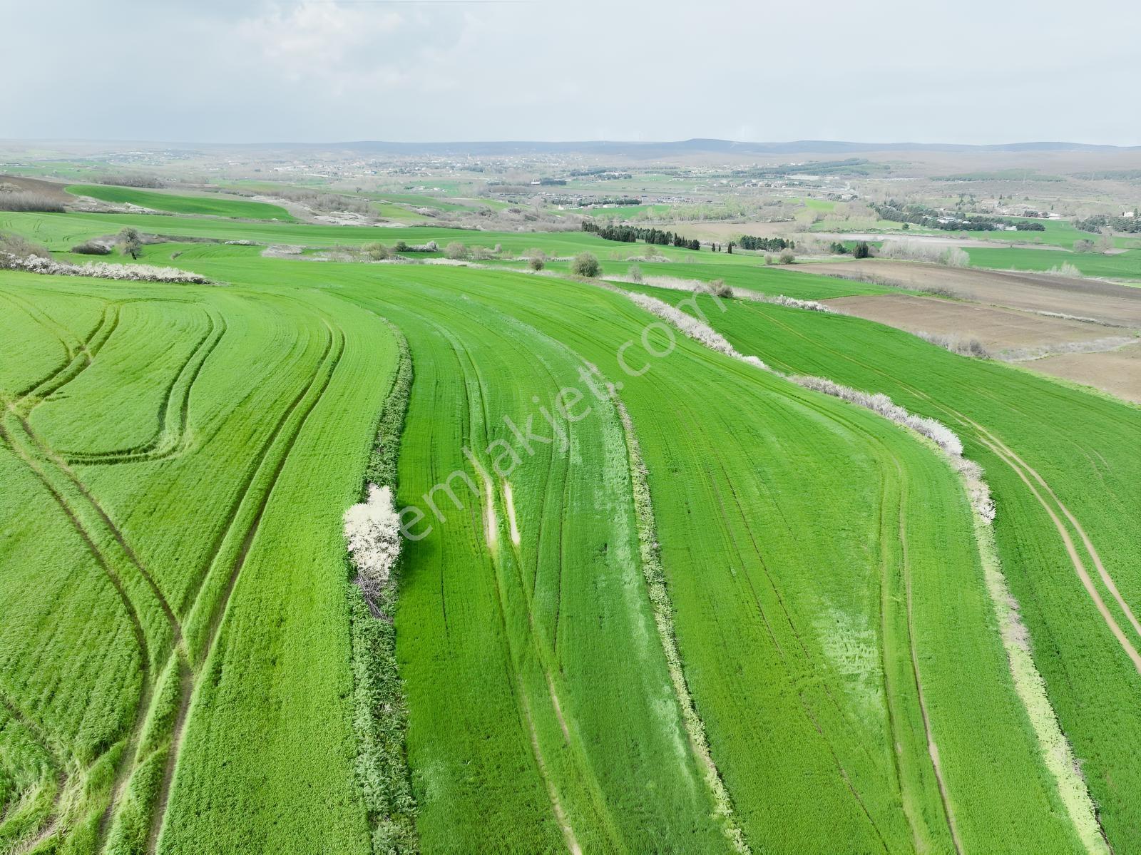 Çatalca İnceğizde Satılık 1125 Metre Çaplı Tarla - Görsel 10