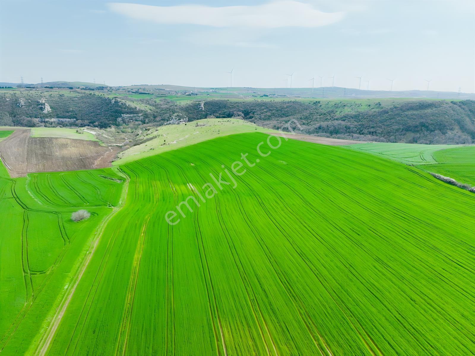 Çatalca İnceğizde Satılık 1125 Metre Çaplı Tarla - Görsel 12