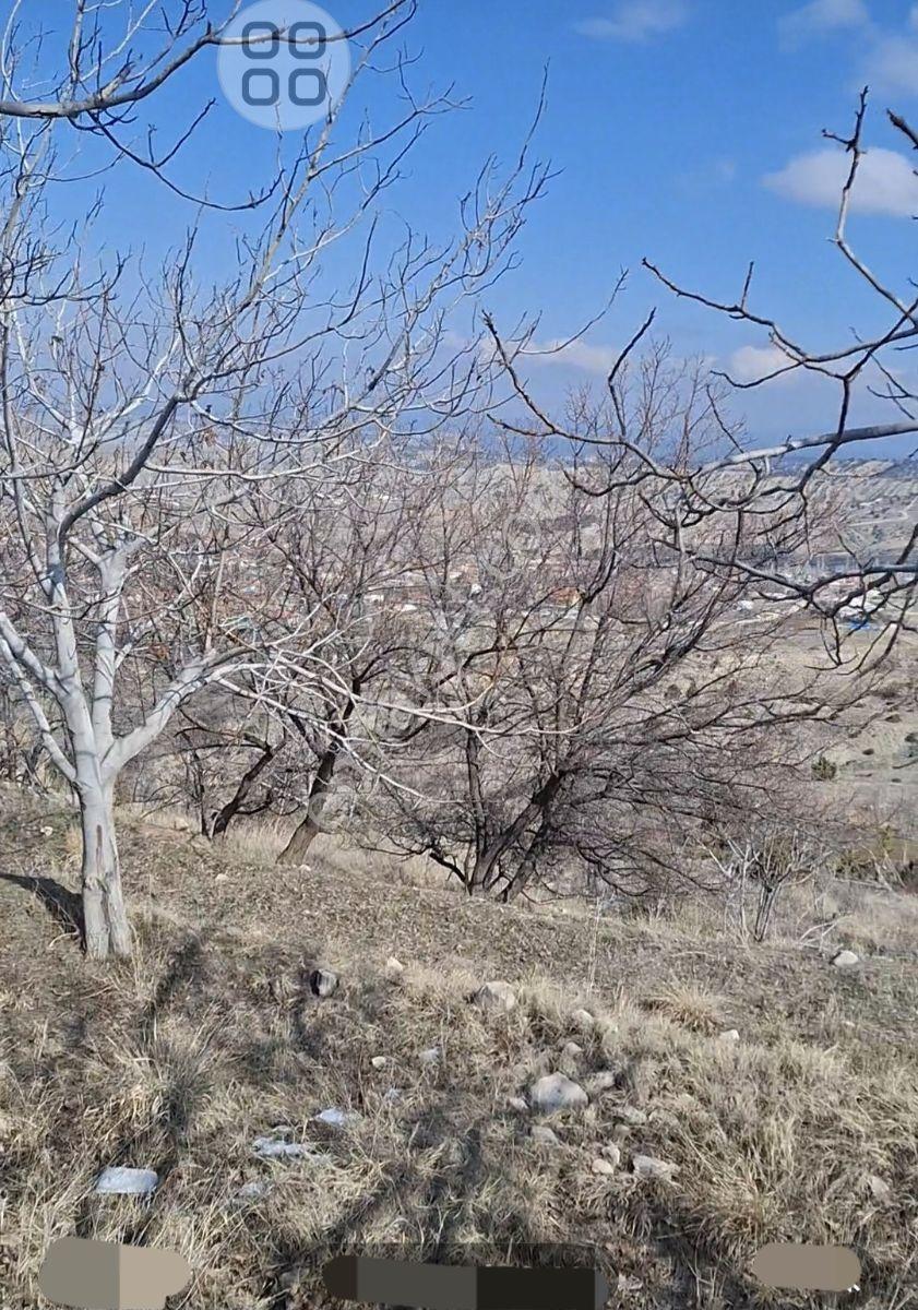 Kemer De Şehir Manzaralı 7500m2 İçinde 50 Kadar Yetişmiş Ceviz - Görsel 8