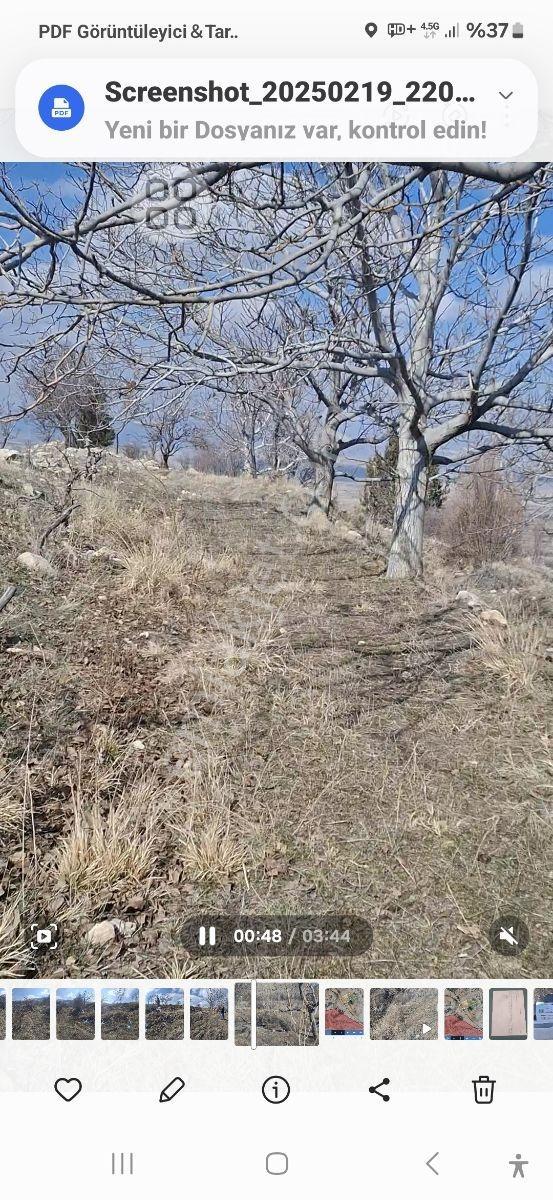 Kemer De Şehir Manzaralı 7500m2 İçinde 50 Kadar Yetişmiş Ceviz - Görsel 9