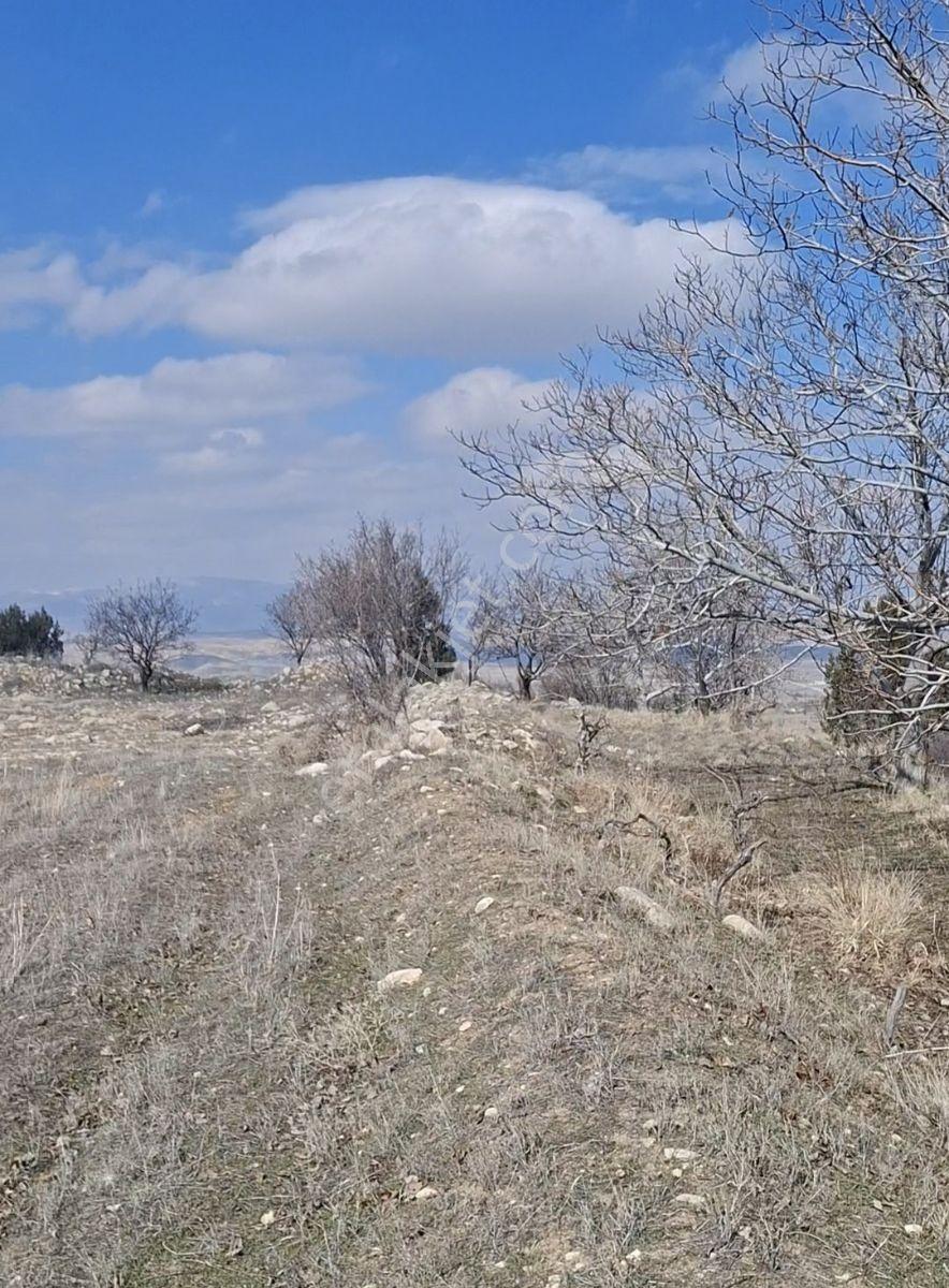 Kemer De Şehir Manzaralı 7500m2 İçinde 50 Kadar Yetişmiş Ceviz - Görsel 24