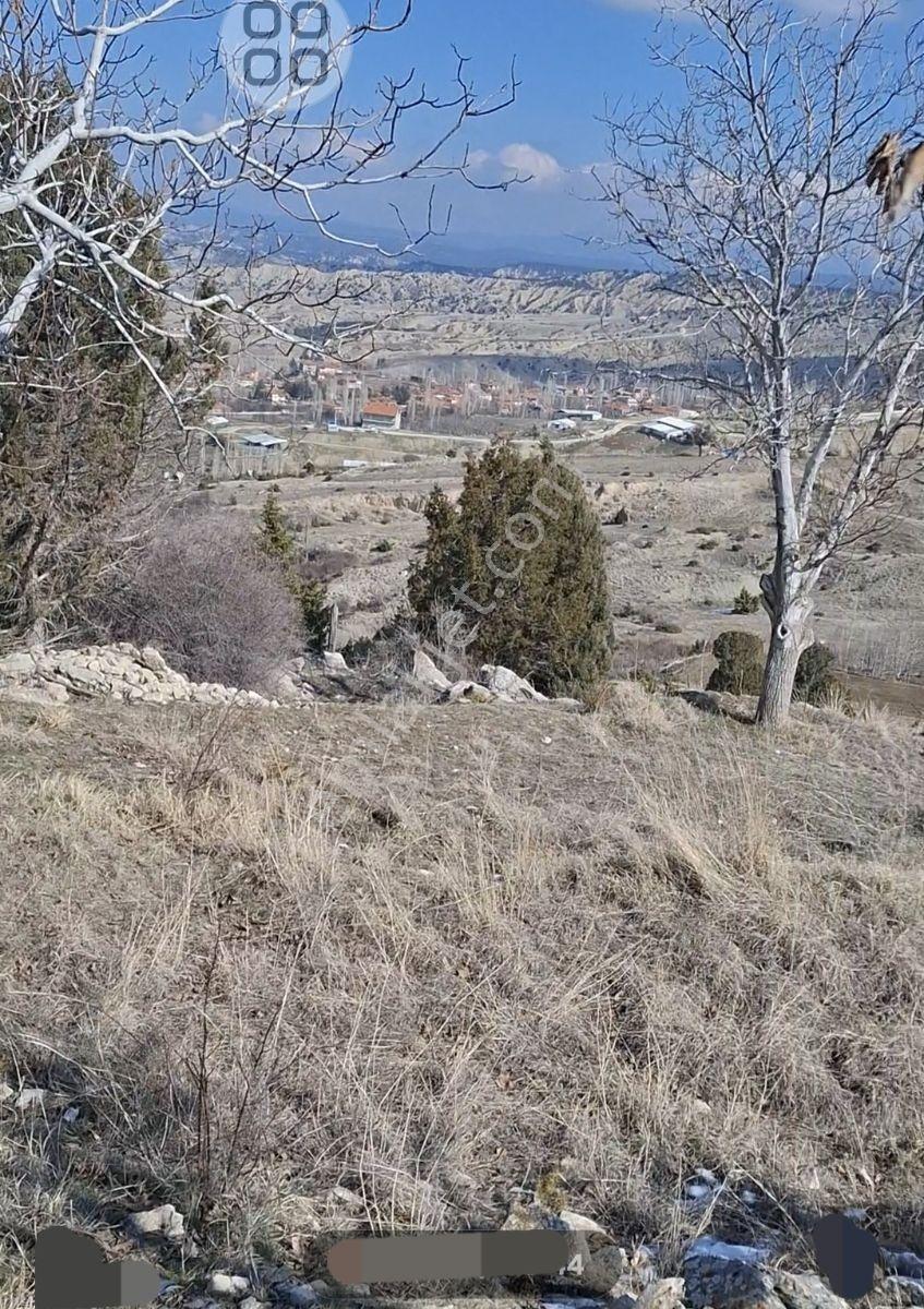 Kemer De Şehir Manzaralı 7500m2 İçinde 50 Kadar Yetişmiş Ceviz - Görsel 17