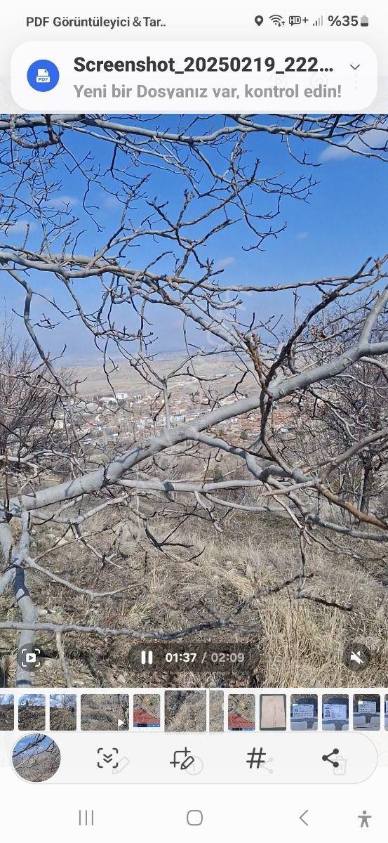 Kemer De Şehir Manzaralı 7500m2 İçinde 50 Kadar Yetişmiş Ceviz - Görsel 13