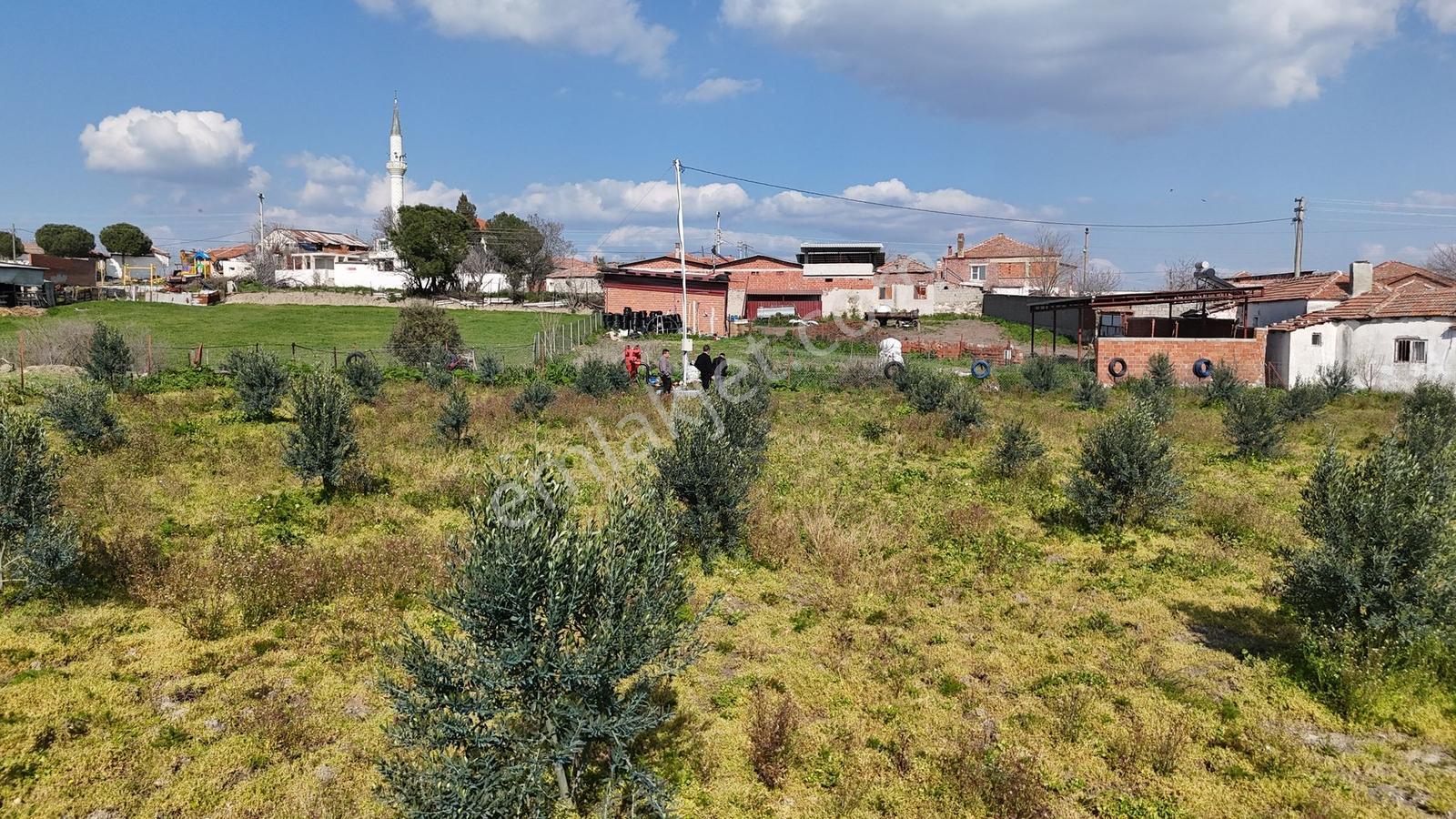 Ahmetbeyler Köyünde 7720m2 Satılık Zeytinlik - Görsel 19