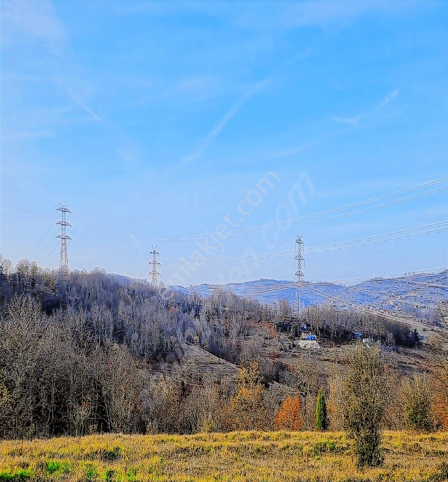 Kocaeli Kandıra Büyük Yatırımlık Acil Satılık Arazi