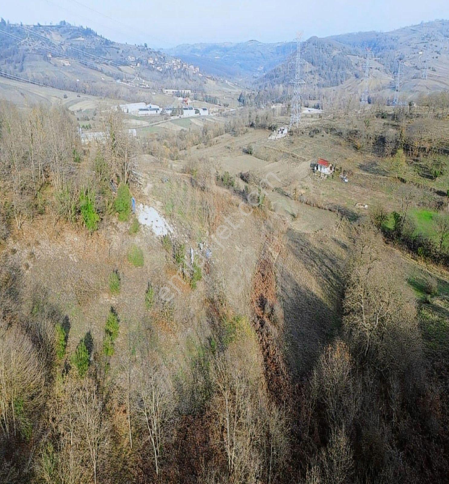Kocaeli Kandıra Büyük Yatırımlık Acil Satılık Arazi - Görsel 4
