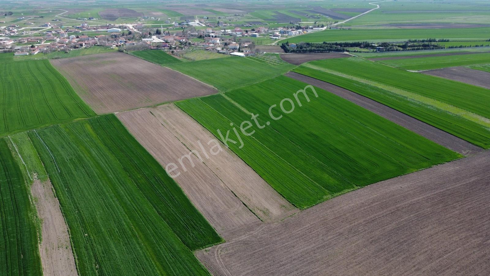 Ergene İğneler Köye Yakın Muvafakatnameli 641 M² Hisseli Tarla.! - Görsel 4