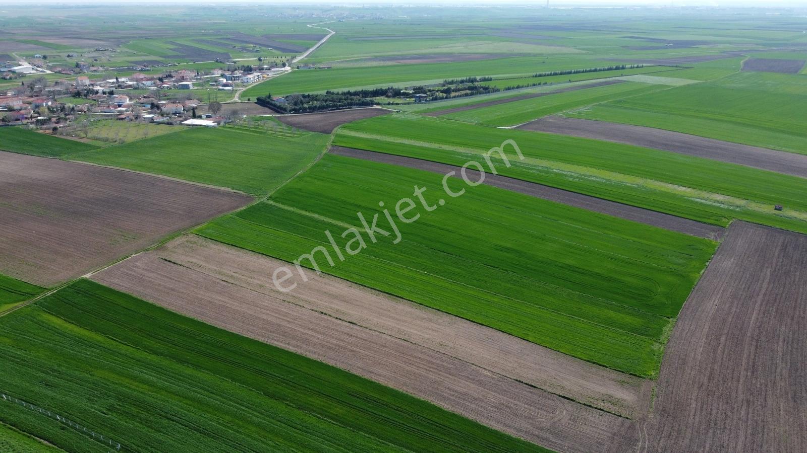 Ergene İğneler Köye Yakın Muvafakatnameli 641 M² Hisseli Tarla.! - Görsel 5