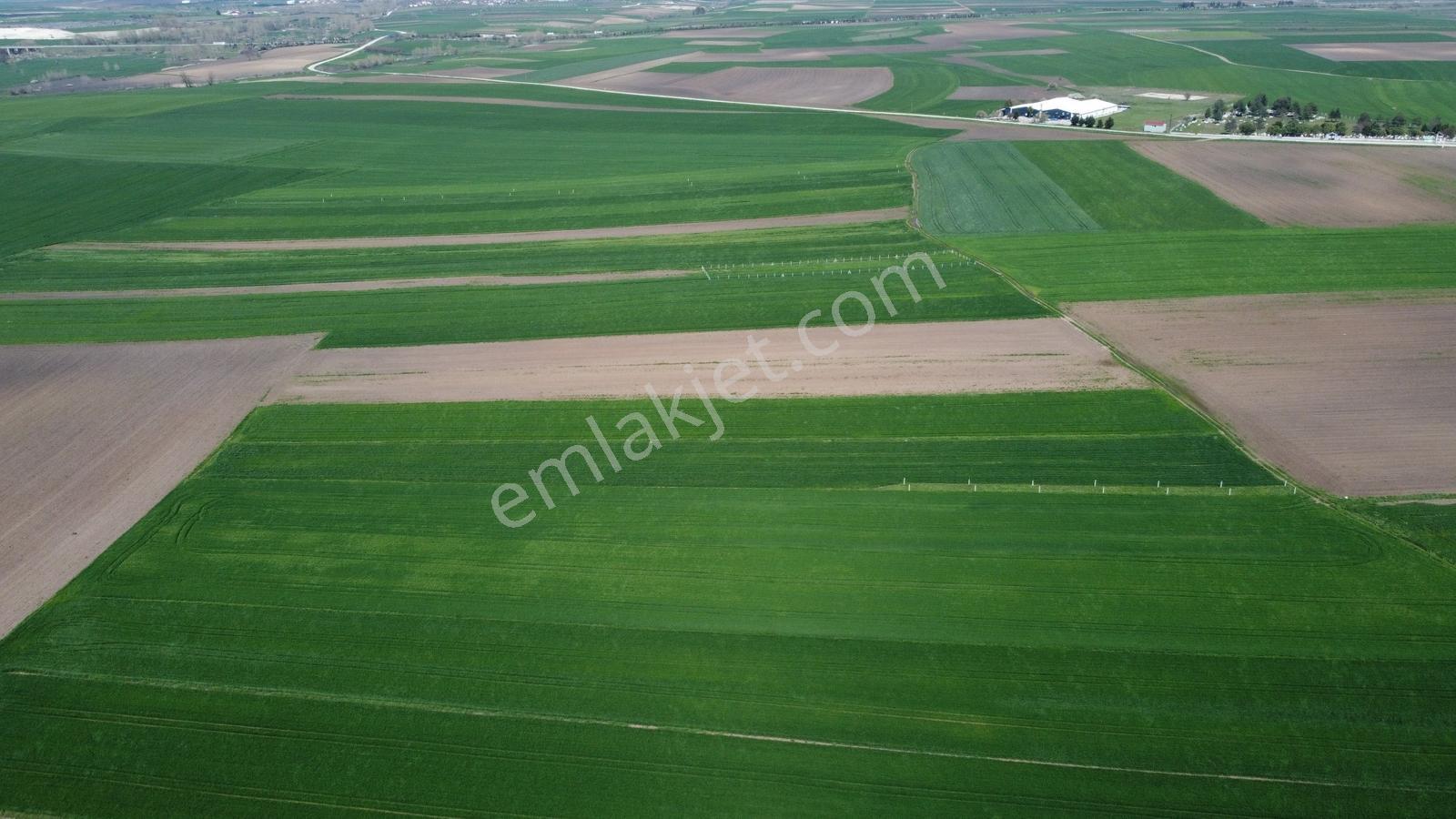 Ergene İğneler Köye Yakın Muvafakatnameli 641 M² Hisseli Tarla.! - Görsel 6