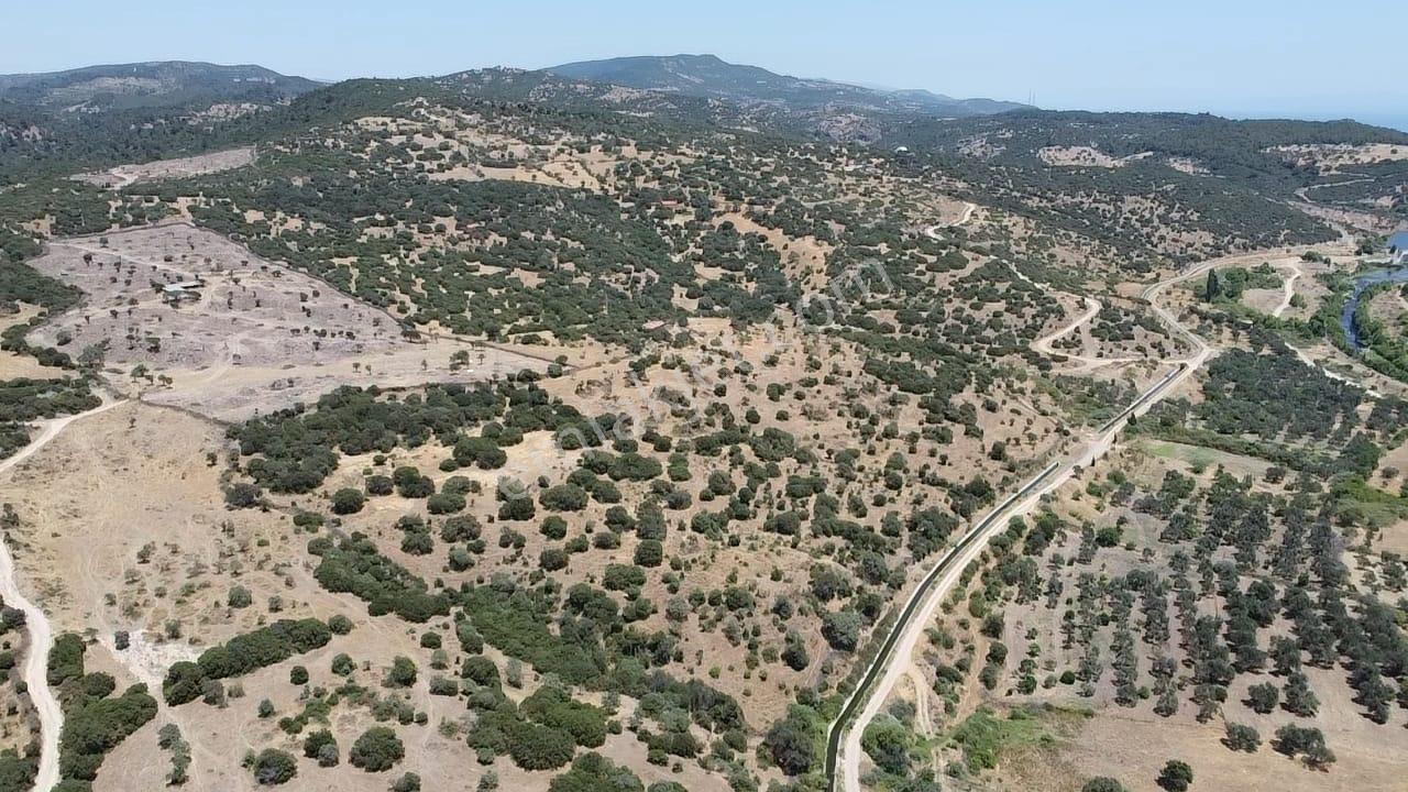 Çanakkale Ayvacık Behramkale Satılık Tarla 25.234 M2 - Görsel 2