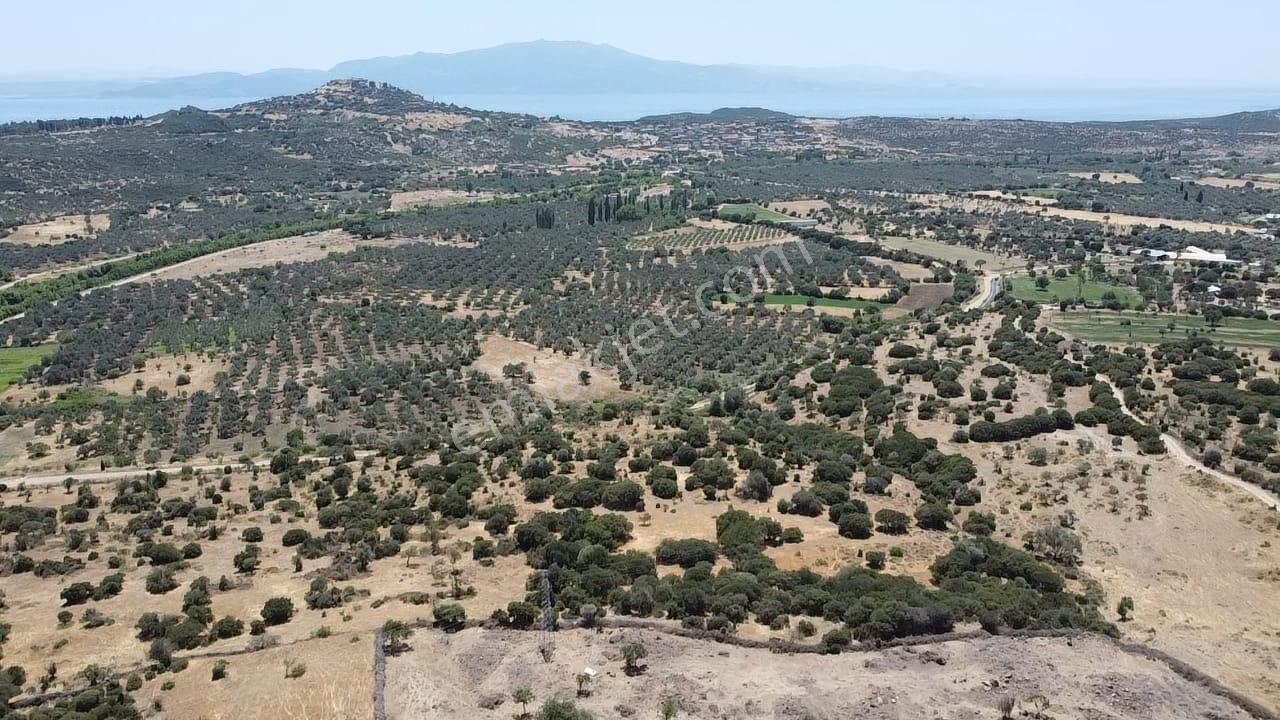 Çanakkale Ayvacık Behramkale Satılık Tarla 25.234 M2 - Görsel 26