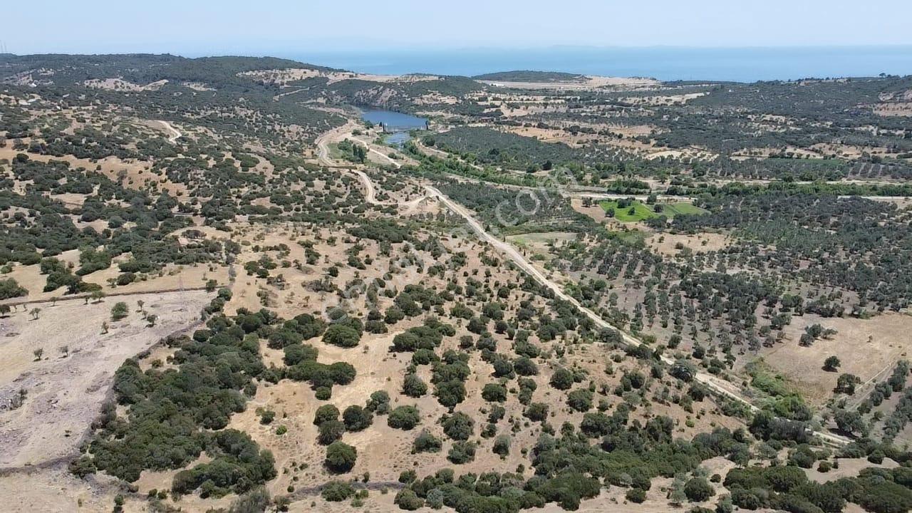 Çanakkale Ayvacık Behramkale Satılık Tarla 25.234 M2 - Görsel 4