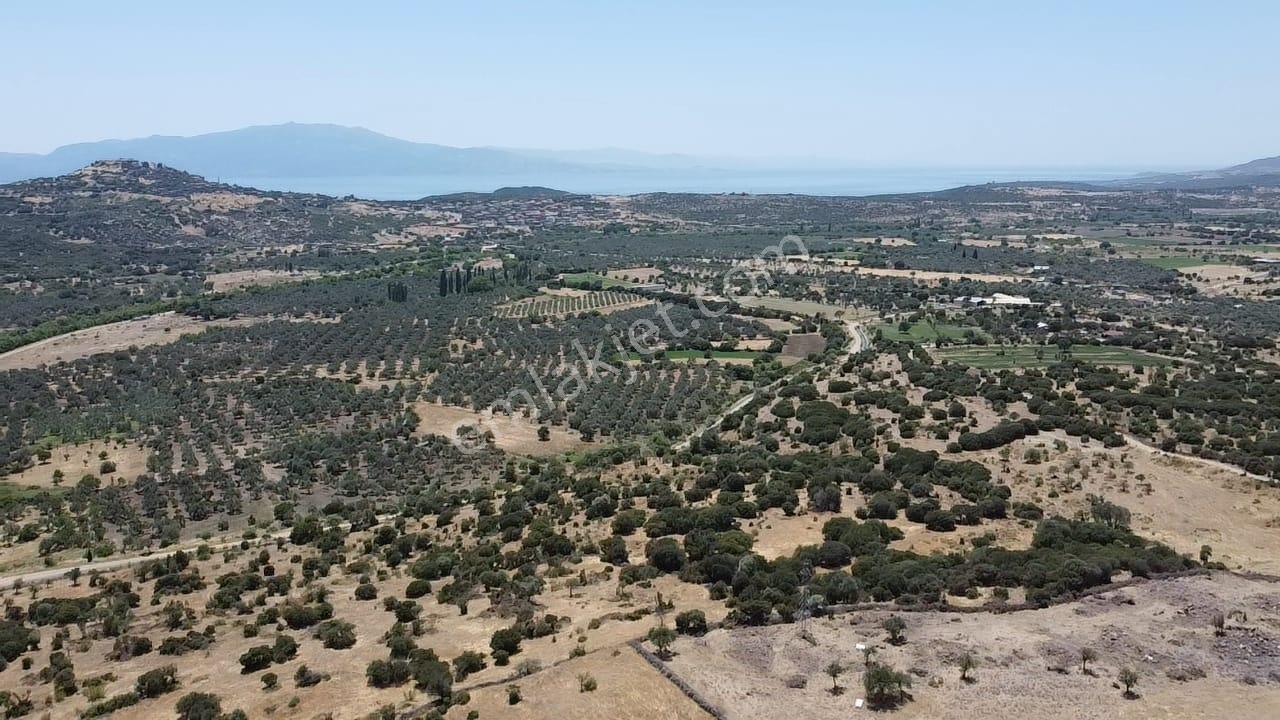 Çanakkale Ayvacık Behramkale Satılık Tarla 25.234 M2 - Görsel 11