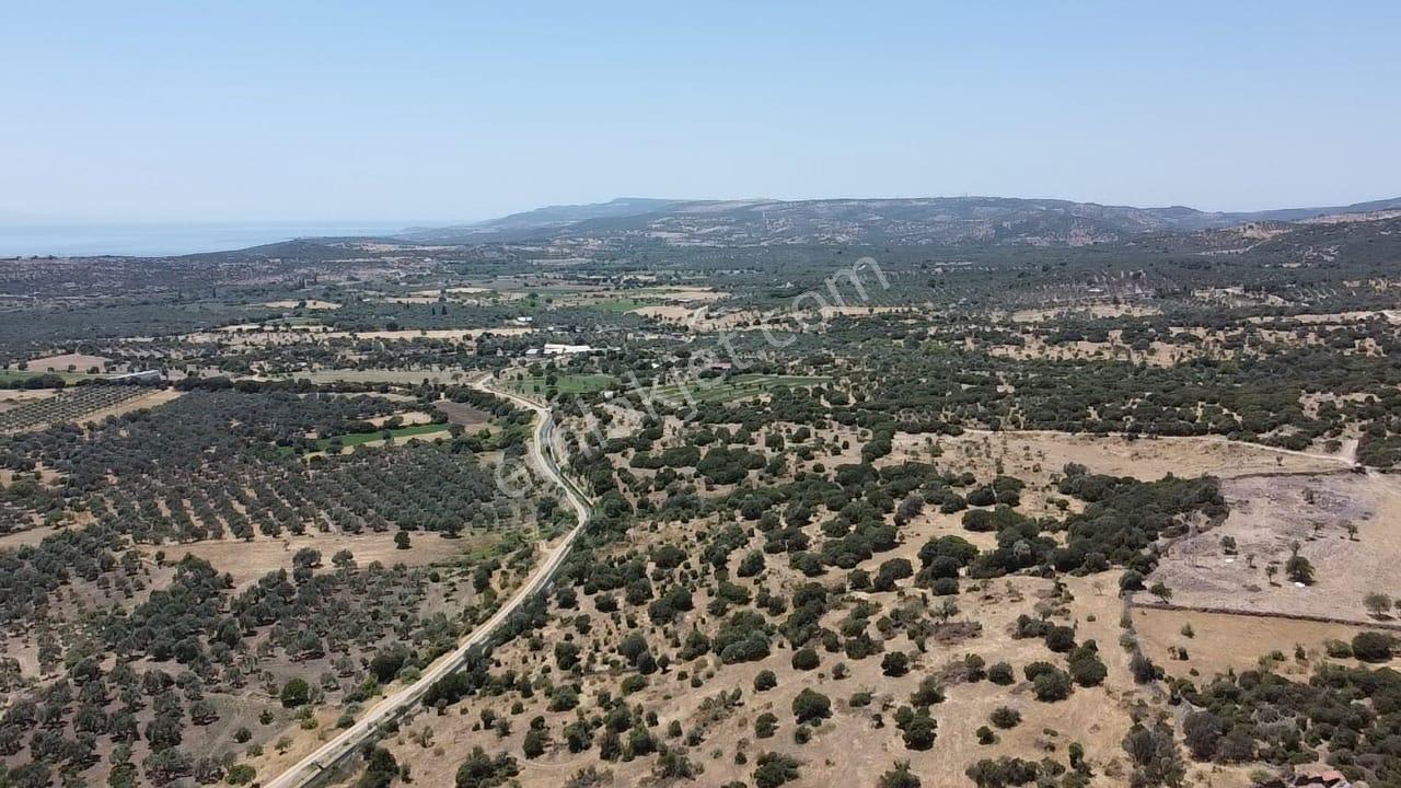 Çanakkale Ayvacık Behramkale Satılık Tarla 25.234 M2 - Görsel 22