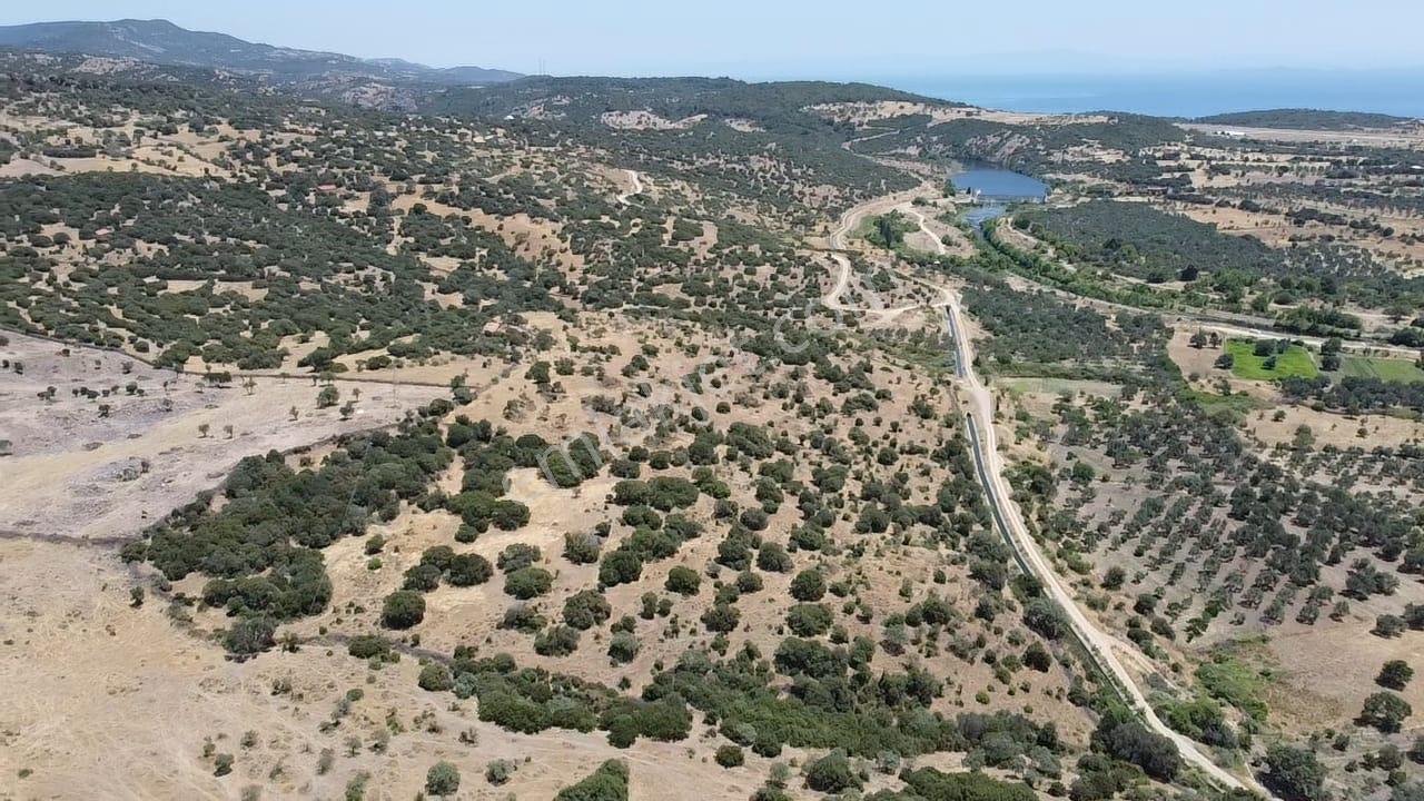 Çanakkale Ayvacık Behramkale Satılık Tarla 25.234 M2 - Görsel 3