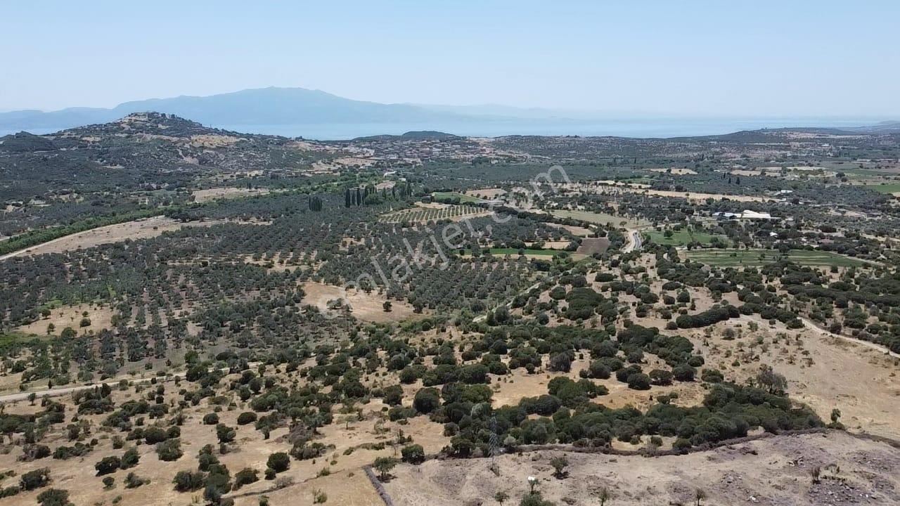Çanakkale Ayvacık Behramkale Satılık Tarla 25.234 M2 - Görsel 6
