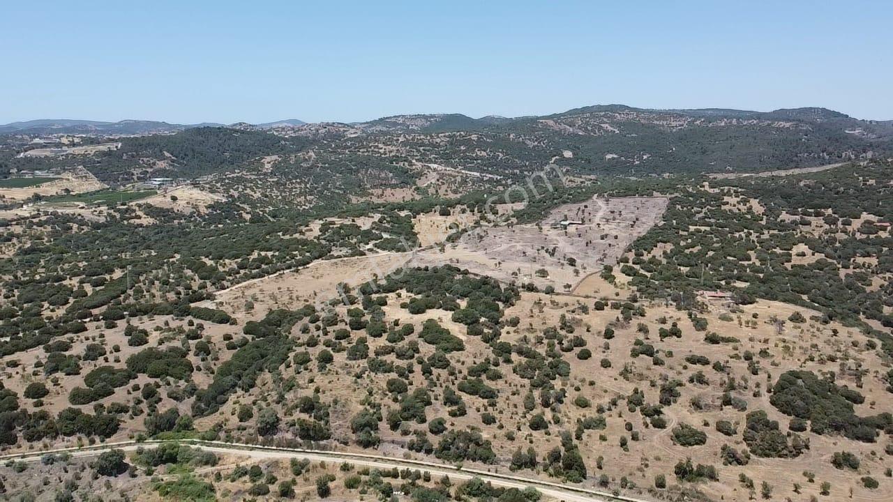 Çanakkale Ayvacık Behramkale Satılık Tarla 25.234 M2 - Görsel 24