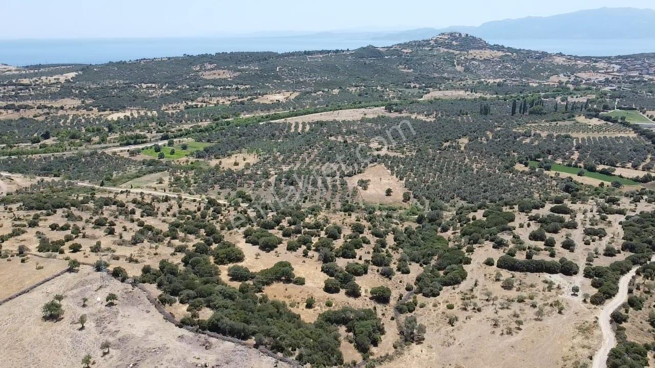 Çanakkale Ayvacık Behramkale Satılık Tarla 25.234 M2 - Görsel 5