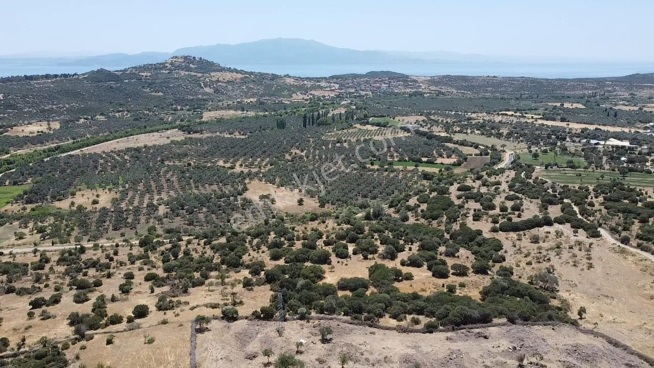 Çanakkale Ayvacık Behramkale Satılık Tarla 25.234 M2 - Görsel 21