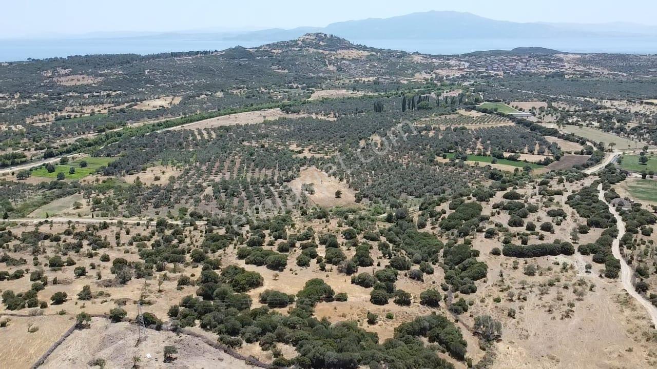 Çanakkale Ayvacık Behramkale Satılık Tarla 25.234 M2 - Görsel 20