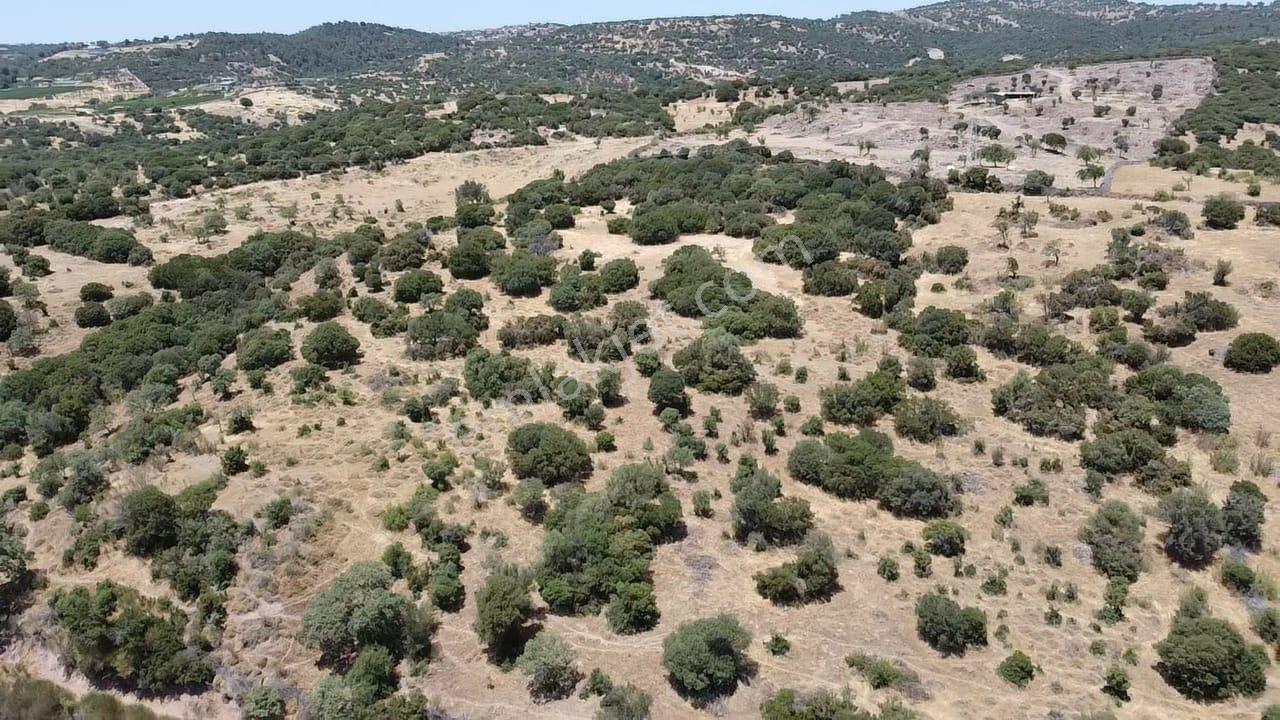 Çanakkale Ayvacık Behramkale Satılık Tarla 25.234 M2 - Görsel 28