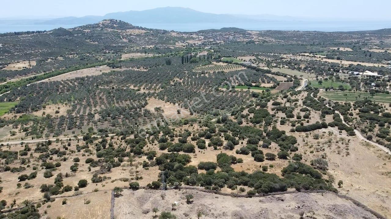 Çanakkale Ayvacık Behramkale Satılık Tarla 25.234 M2 - Görsel 9