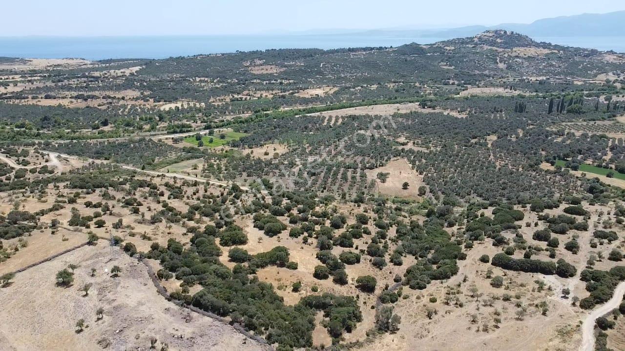 Çanakkale Ayvacık Behramkale Satılık Tarla 25.234 M2 - Görsel 27