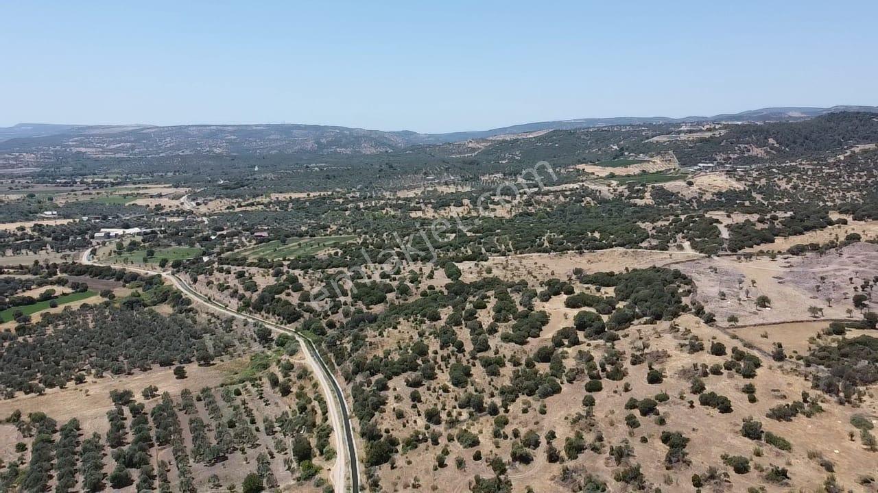 Çanakkale Ayvacık Behramkale Satılık Tarla 25.234 M2 - Görsel 16