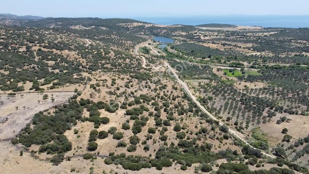 Çanakkale Ayvacık Behramkale Satılık Tarla 25.234 M2 - Görsel 29