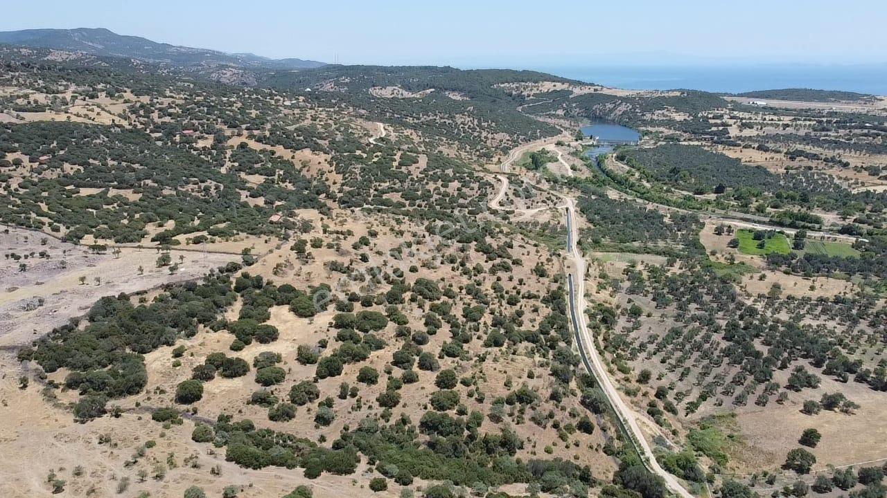 Çanakkale Ayvacık Behramkale Satılık Tarla 25.234 M2 - Görsel 10