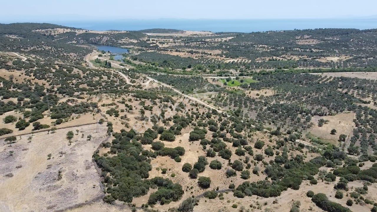 Çanakkale Ayvacık Behramkale Satılık Tarla 25.234 M2 - Görsel 8