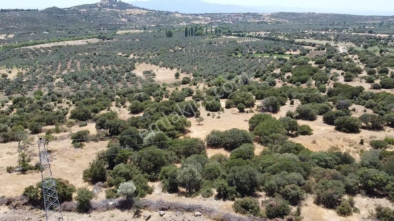 Çanakkale Ayvacık Behramkale Satılık Tarla 25.234 M2 - Görsel 19