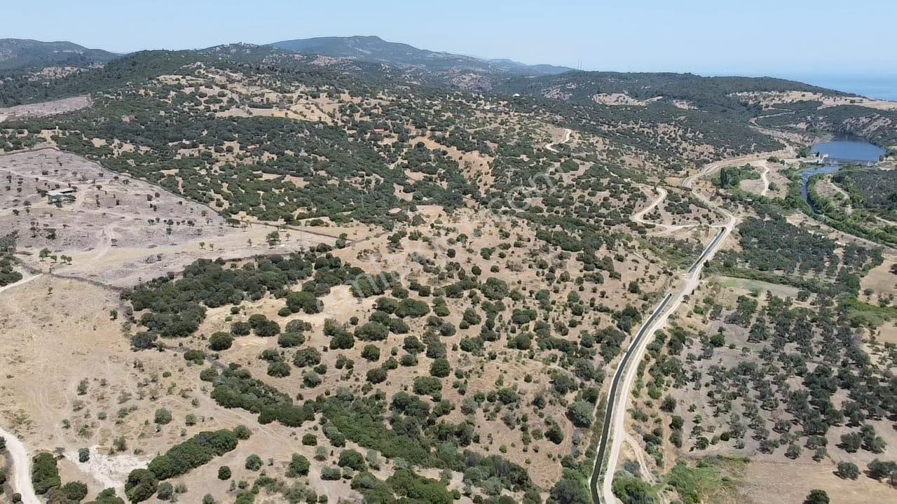 Çanakkale Ayvacık Behramkale Satılık Tarla 25.234 M2 - Görsel 13