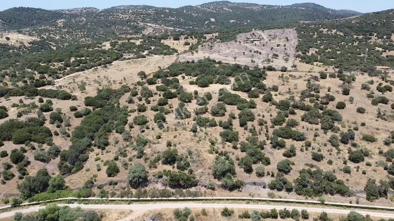Çanakkale Ayvacık Behramkale Satılık Tarla 25.234 M2 - Görsel 18