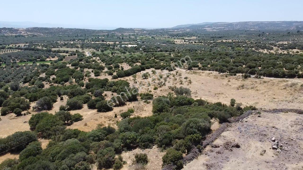 Çanakkale Ayvacık Behramkale Satılık Tarla 25.234 M2 - Görsel 30