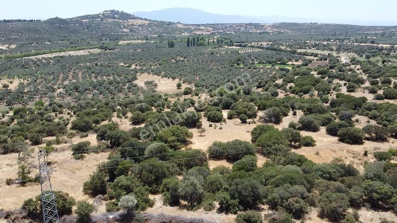 Çanakkale Ayvacık Behramkale Satılık Tarla 25.234 M2 - Görsel 17