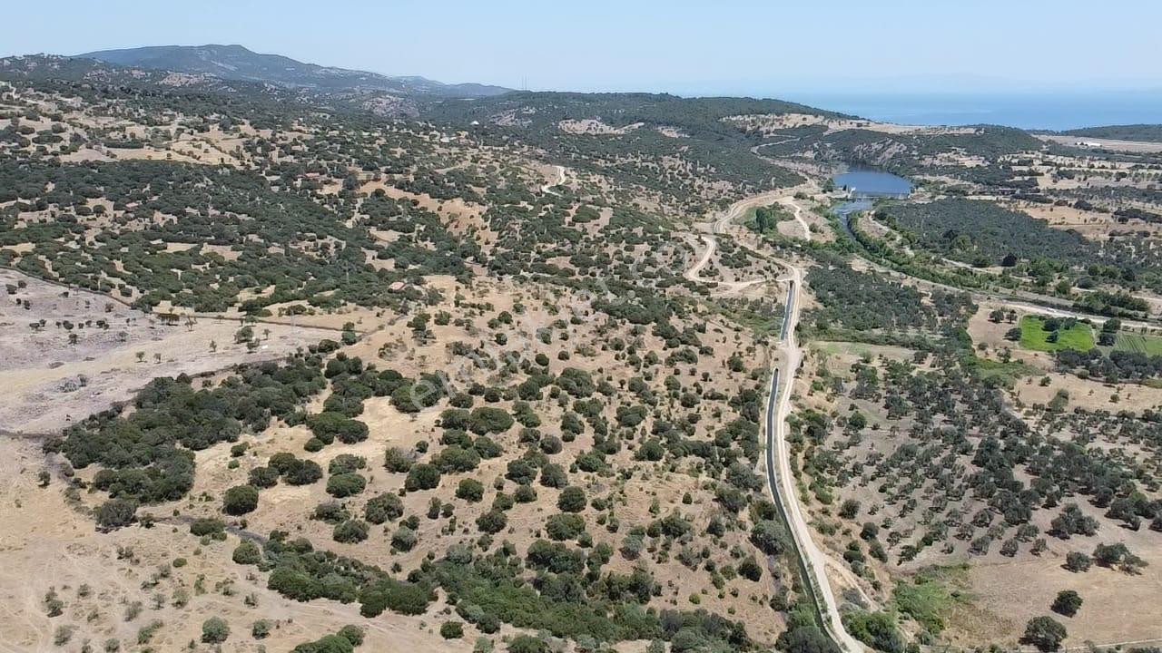 Çanakkale Ayvacık Behramkale Satılık Tarla 25.234 M2 - Görsel 14