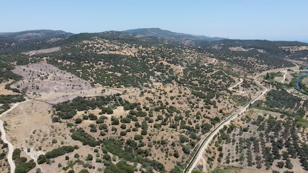Çanakkale Ayvacık Behramkale Satılık Tarla 25.234 M2 - Görsel 12