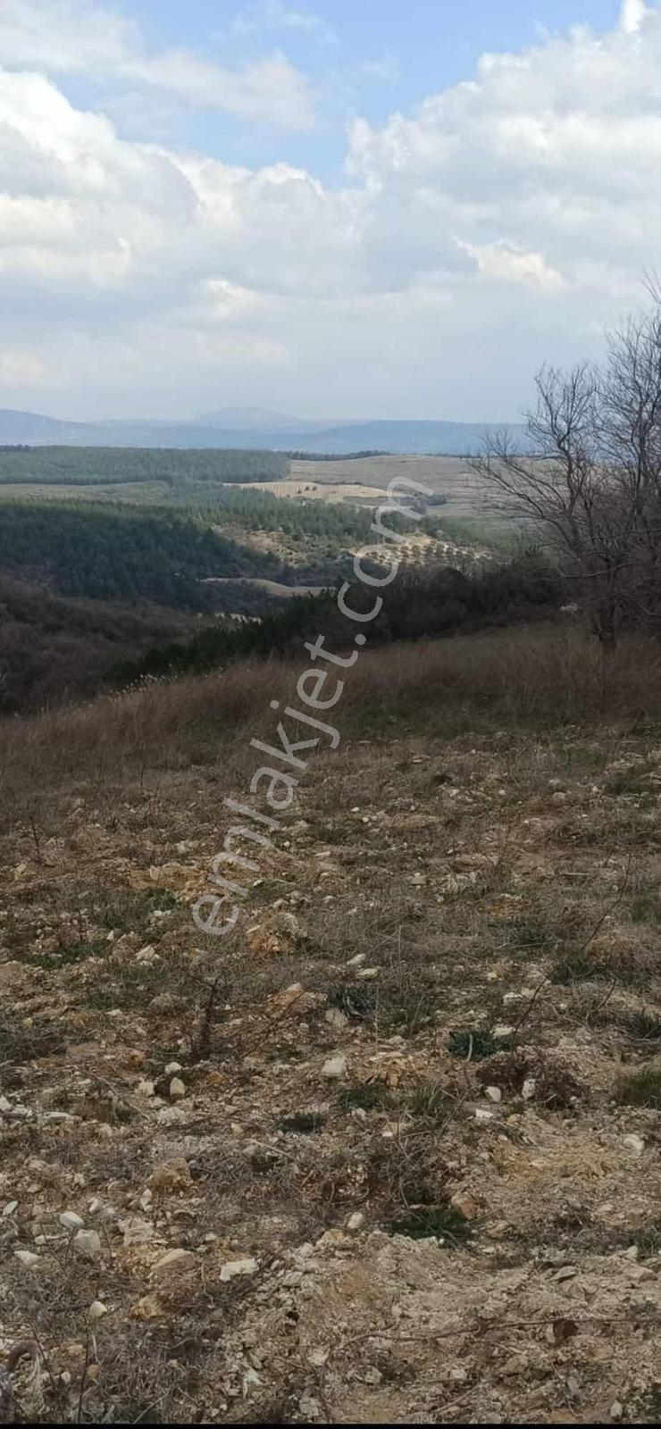 Ncs Emlak Tan Satılık Müstakil Tapulu Tarla - Görsel 6