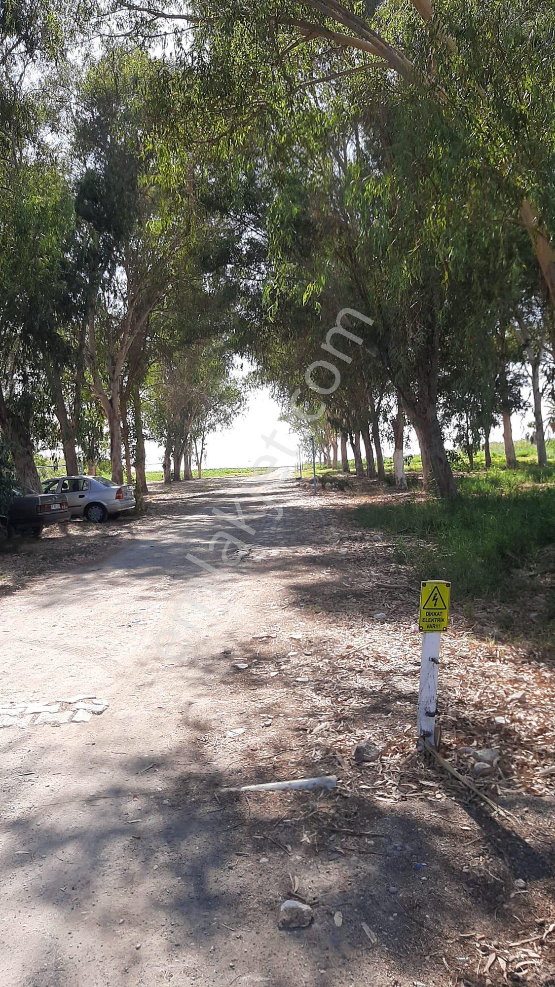 Didim’de Satılık Denize Yakın Triplex Yazlık Villa - Görsel 9