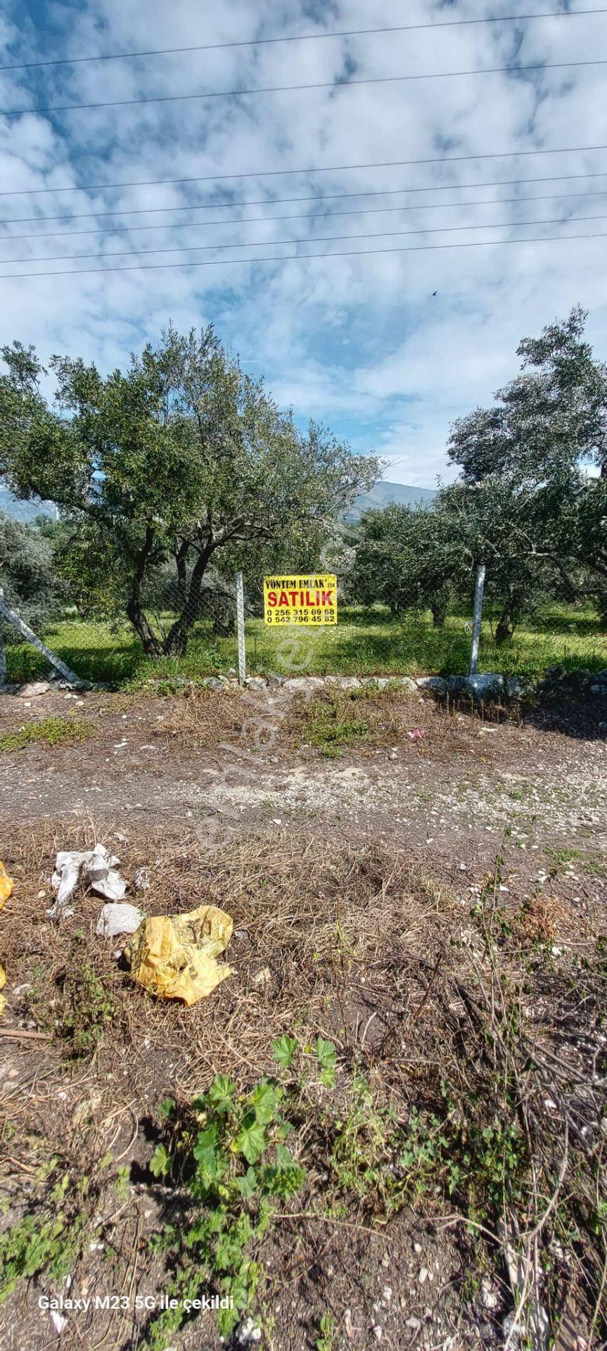Yöntem Emlaktan Kuyucak Horsunluda Satılık Arsa - Görsel 5