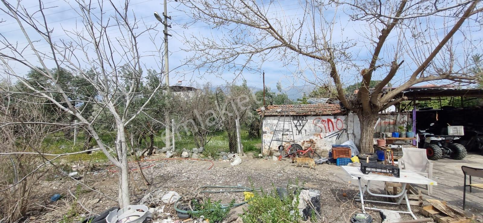 Yöntem Emlaktan Kuyucak Horsunluda Satılık Arsa - Görsel 11