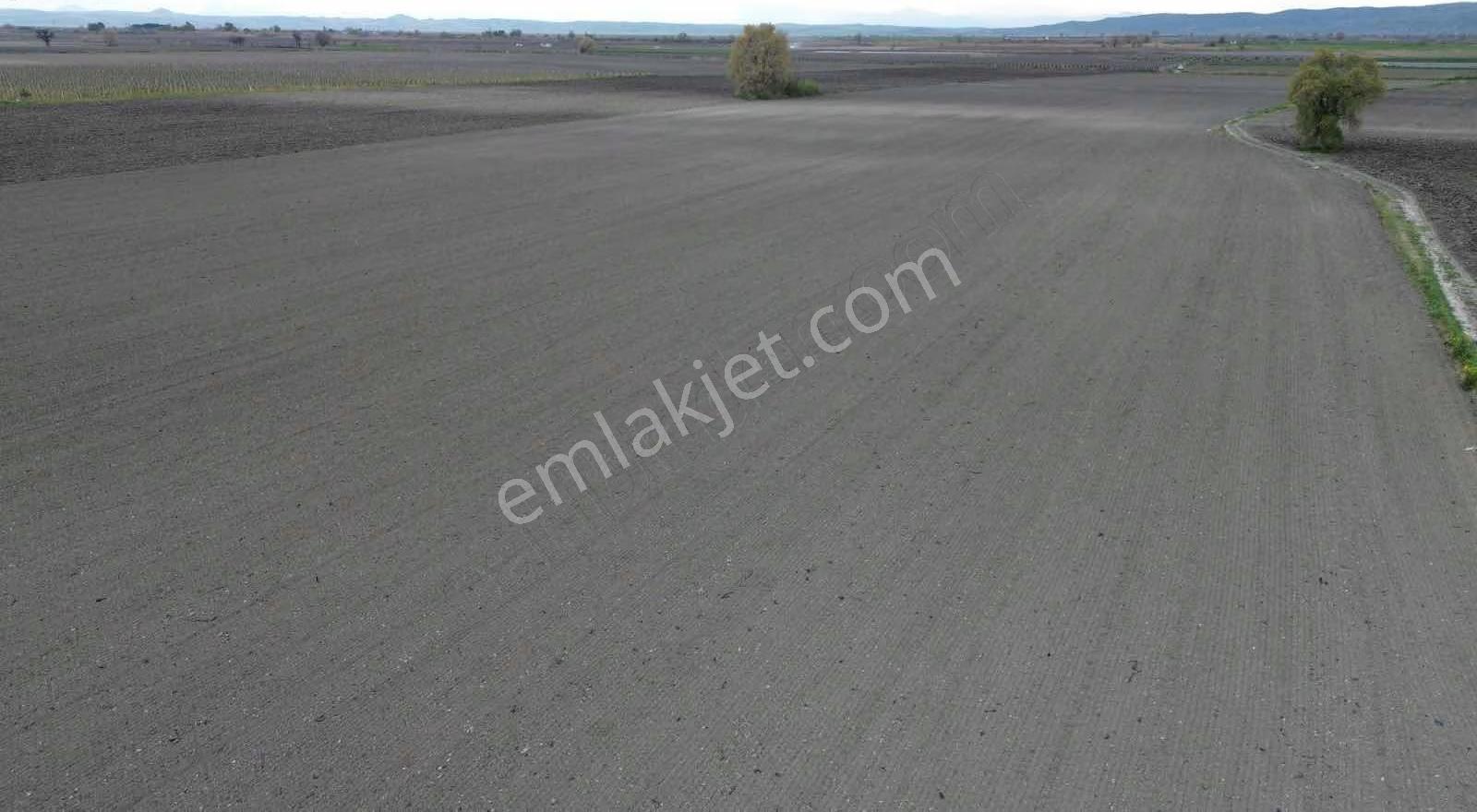 Dostlardan Gölmarmarada Satılık 300 Dönüm Verimli Arazi - Görsel 13