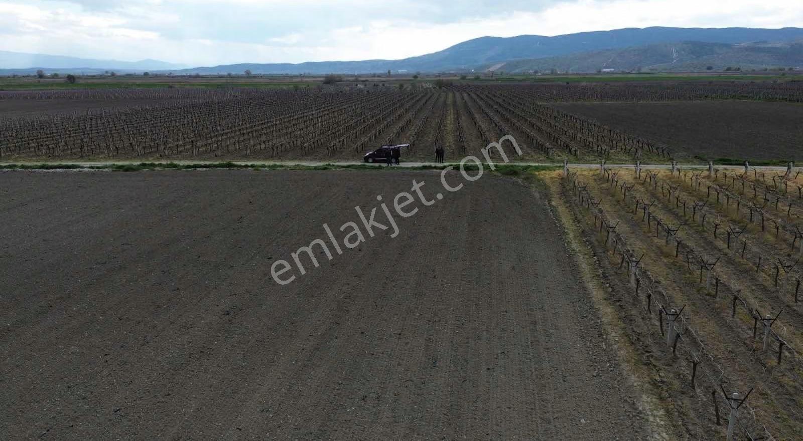 Dostlardan Gölmarmarada Satılık 300 Dönüm Verimli Arazi - Görsel 33