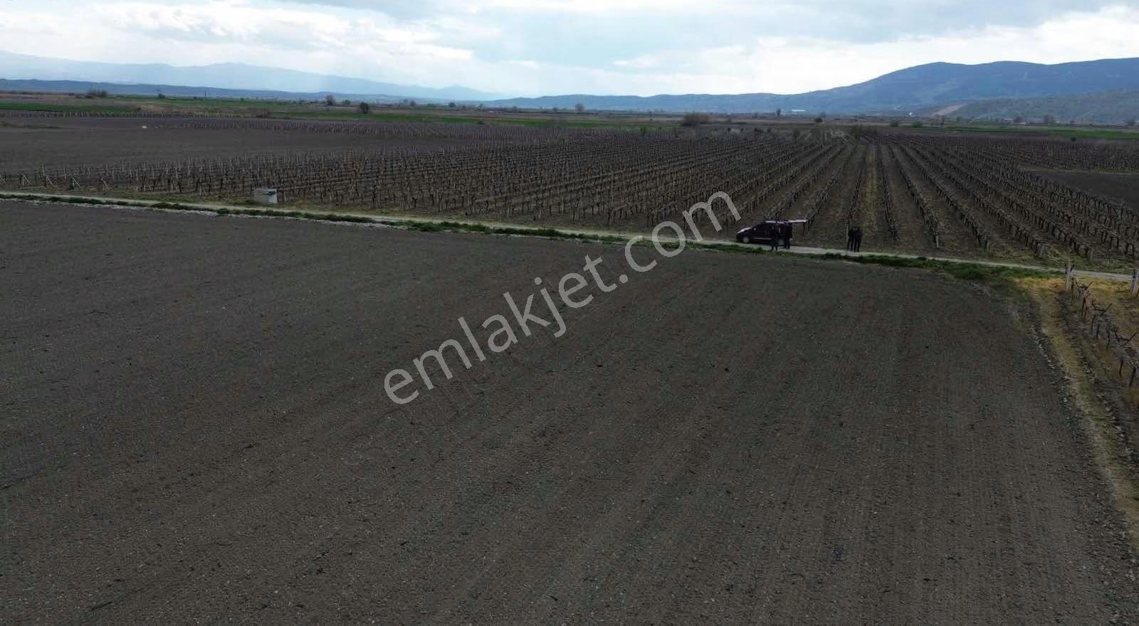 Dostlardan Gölmarmarada Satılık 300 Dönüm Verimli Arazi - Görsel 30