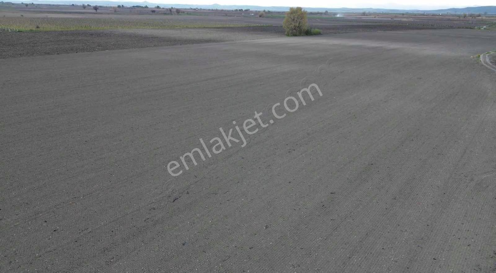 Dostlardan Gölmarmarada Satılık 300 Dönüm Verimli Arazi - Görsel 34