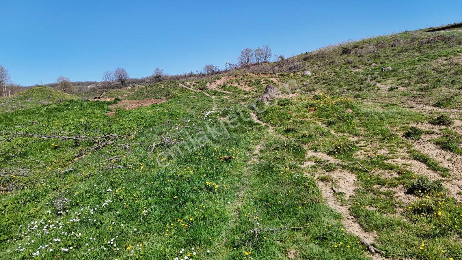 Rota'dan Karamürsel İhsaniye Köy Girişinde Satılık 5 Dönüm Arazi - Görsel 10