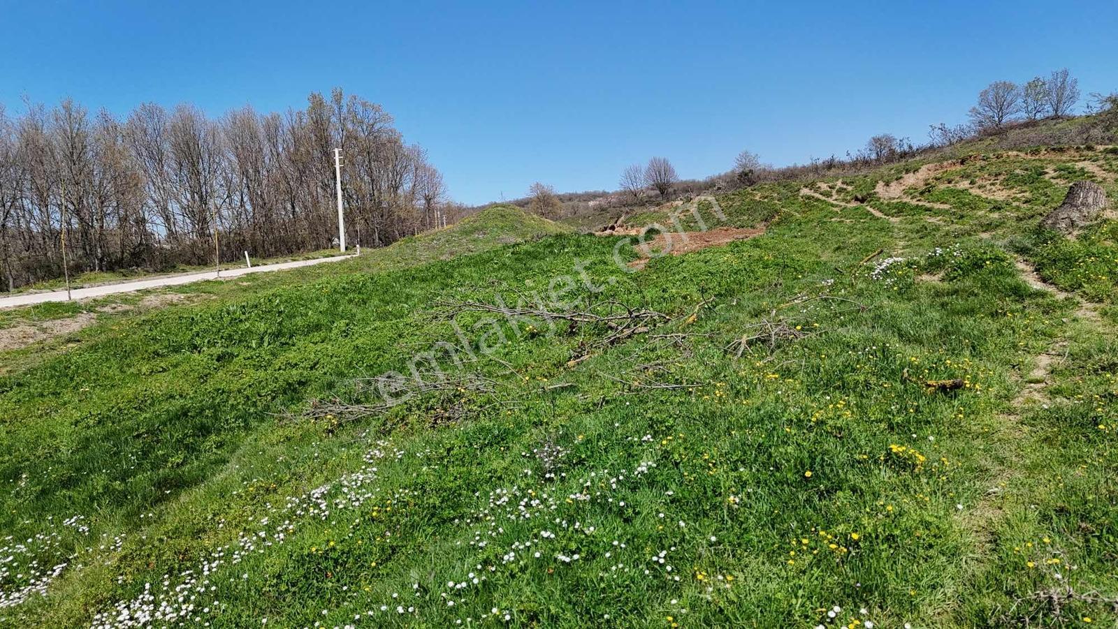 Rota'dan Karamürsel İhsaniye Köy Girişinde Satılık 5 Dönüm Arazi - Görsel 9