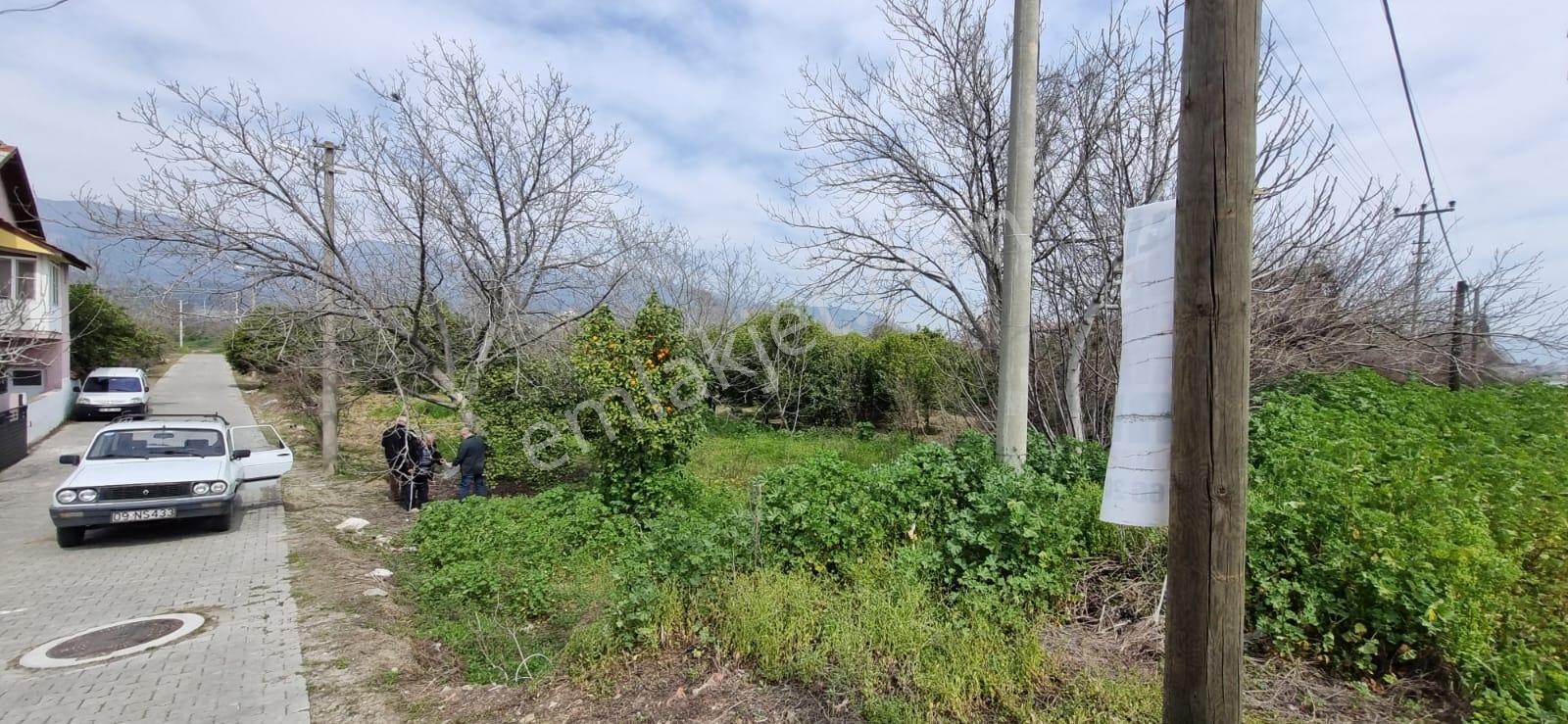Aydın Nazilli Yöntem Emlaktan Kuyucak Horsunluda Satılık Arsa - Görsel 2